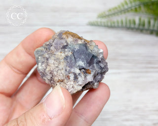 Burtree Slits Fluorite Specimen #9
