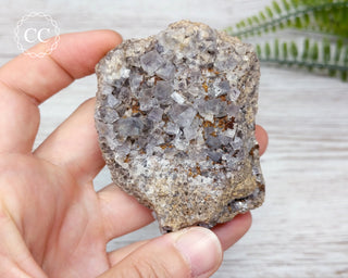 Burtree Slits Fluorite Specimen #13