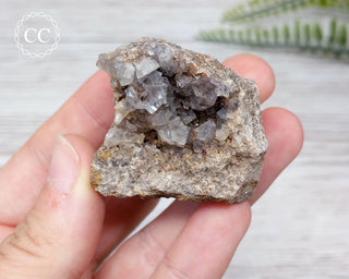 Burtree Slits Fluorite Specimen #2