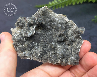 Calcite with Marcasite - Linwood Mine #7