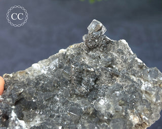Calcite with Marcasite - Linwood Mine #7