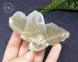 Calcite - Charcas, Mexico #5