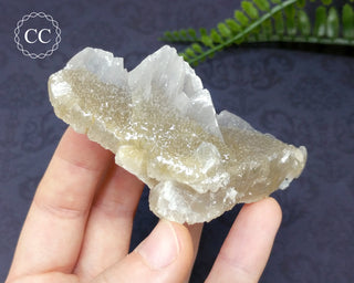 Calcite - Charcas, Mexico #5