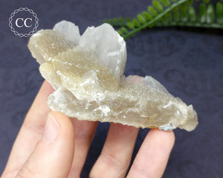 Calcite - Charcas, Mexico #5