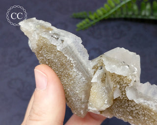 Calcite - Charcas, Mexico #5