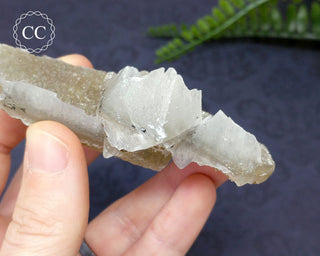 Calcite - Charcas, Mexico #5