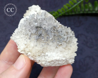 Marcasite & Calcite Specimen - Buffalo, Iowa #4