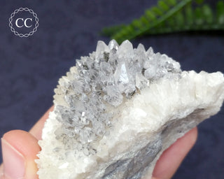 Marcasite & Calcite Specimen - Buffalo, Iowa #4