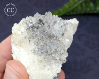 Marcasite & Calcite Specimen - Buffalo, Iowa #4