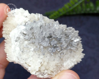 Marcasite & Calcite Specimen - Buffalo, Iowa #4