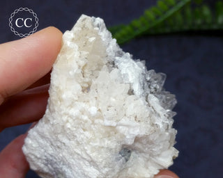 Marcasite & Calcite Specimen - Buffalo, Iowa #4