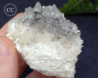 Marcasite & Calcite Specimen - Buffalo, Iowa #4