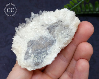 Marcasite & Calcite Specimen - Buffalo, Iowa #4