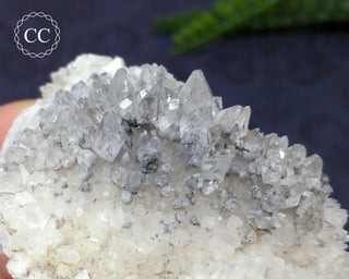 Marcasite & Calcite Specimen - Buffalo, Iowa #4