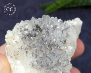 Marcasite & Calcite Specimen - Buffalo, Iowa #4