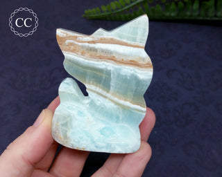 Caribbean Calcite Cat #3