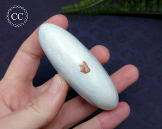 Caribbean Calcite Large Palmstone #4