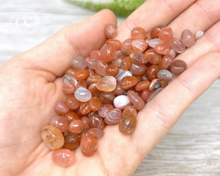 Carnelian Crystal Chips 50g