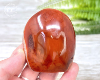 Carnelian Freeform #4