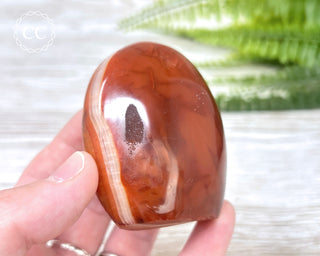 Carnelian Freeform #4