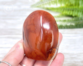 Carnelian Freeform #4