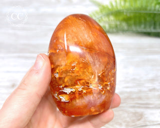 Carnelian Freeform #5