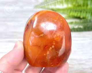 Carnelian Freeform #4