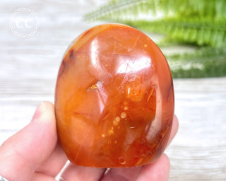 Carnelian Freeform #4