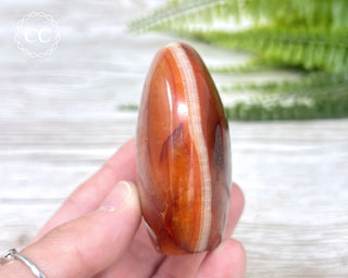 Carnelian Freeform #4