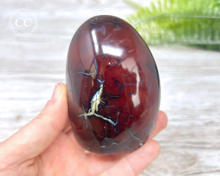 Carnelian Freeform #6