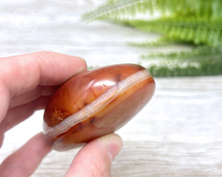 Carnelian Freeform #4