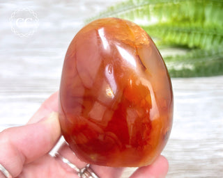 Carnelian Freeform #1