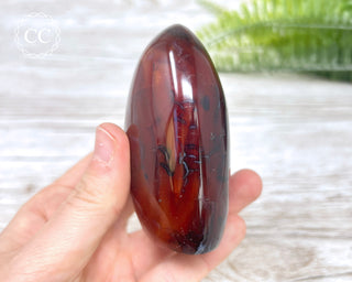 Carnelian Freeform #6