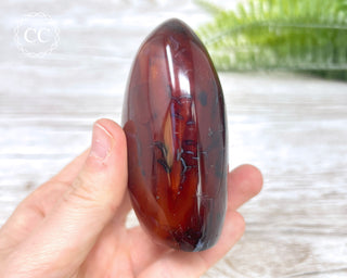 Carnelian Freeform #6