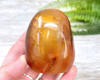 Carnelian Freeform #3