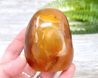 Carnelian Freeform #3
