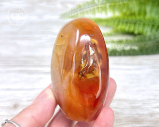 Carnelian Freeform #3