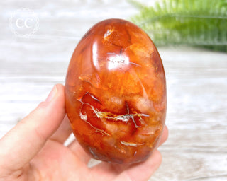 Carnelian Freeform #5