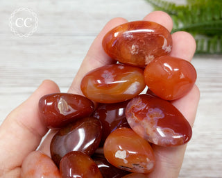 Carnelian Tumbled Crystal