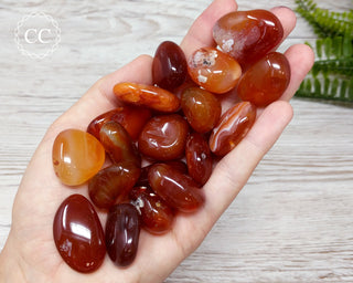 Carnelian Tumbled Crystal