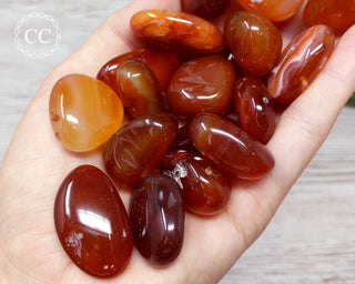 Carnelian Tumbled Crystal