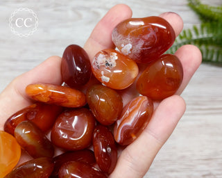 Carnelian Tumbled Crystal