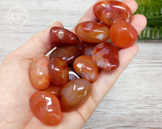 Carnelian Tumbled Crystal