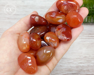 Carnelian Tumbled Crystal