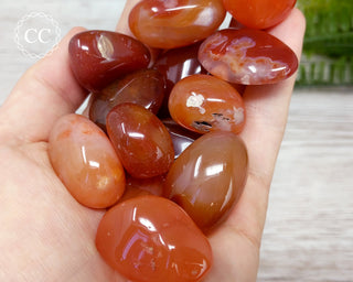 Carnelian Tumbled Crystal
