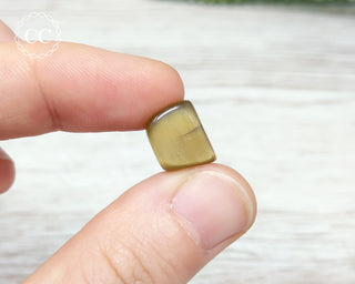 Cats Eye Apatite Crystal #1