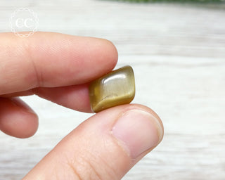 Cats Eye Apatite Crystal #1