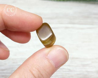 Cats Eye Apatite Crystal #1