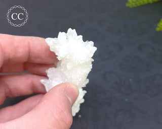 Cave Calcite | Floss Ferri #7