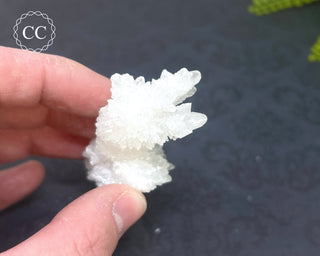Cave Calcite | Floss Ferri #7